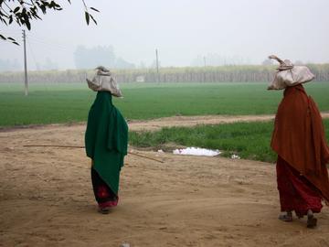 Honorable Mention, People's Choice Online: “A Walk in Uttar Pradesh” by Allap Judge