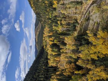 The Tay River is surrounded by mixed wood forest of predominantly aspen and spruce trees.