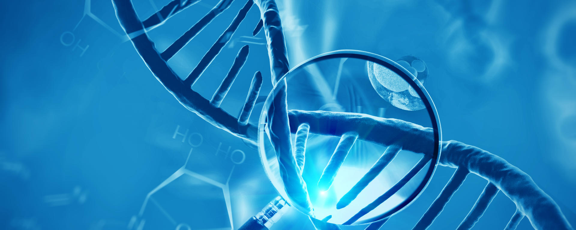 Therapies for Rare Cancers