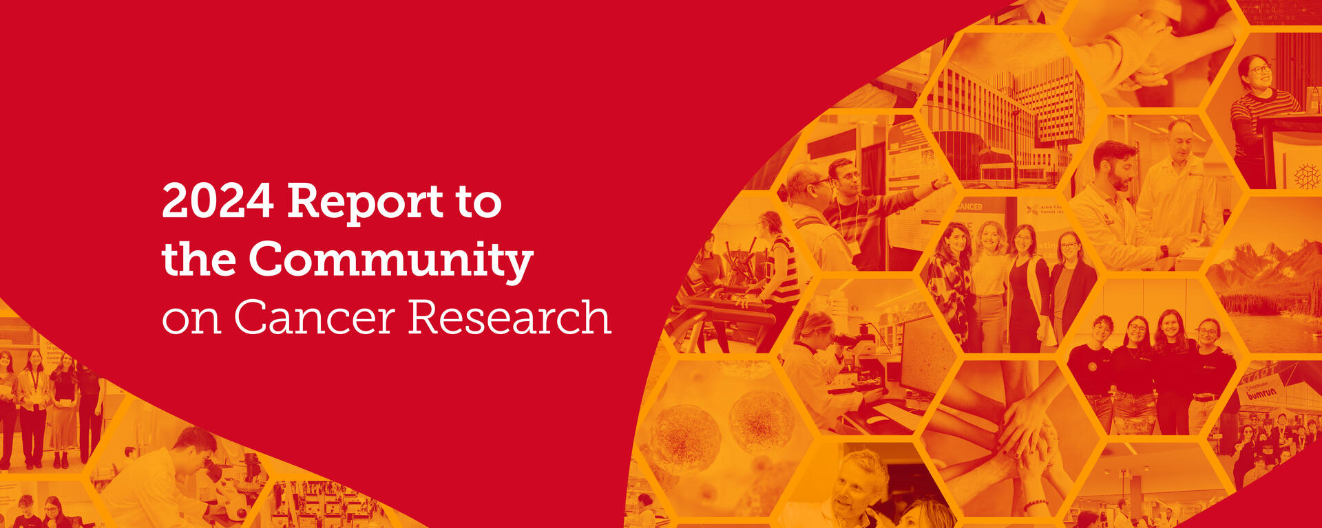 Annual Report