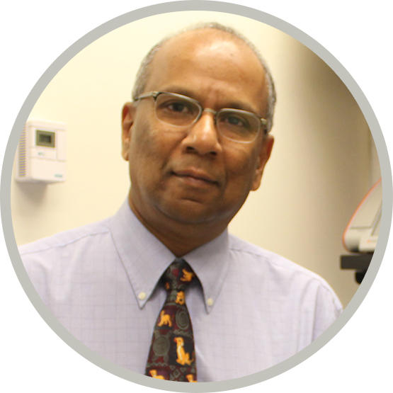 Dr. Narendran, Aru
