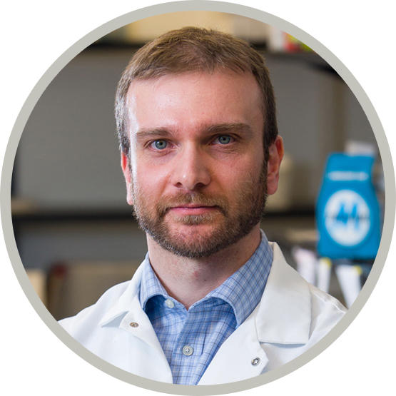 Dr. Gallo, Marco