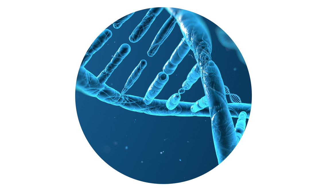 DNA