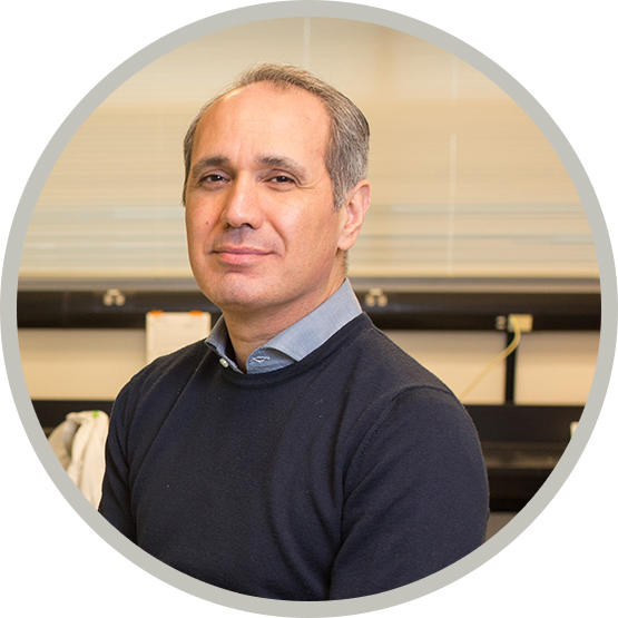 Dr. Nizar Bhalis