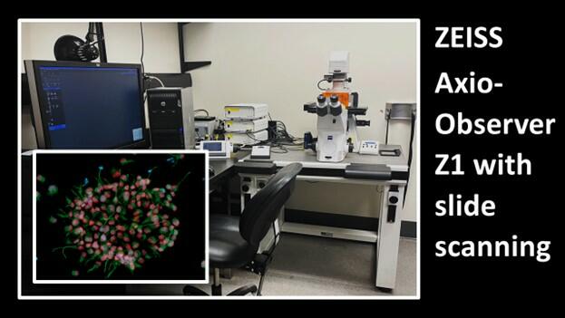 Zeiss AxioObserver Z1 Epifluorescence Microscope