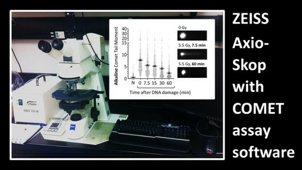 Zeiss Axioskop COMET assay microscope