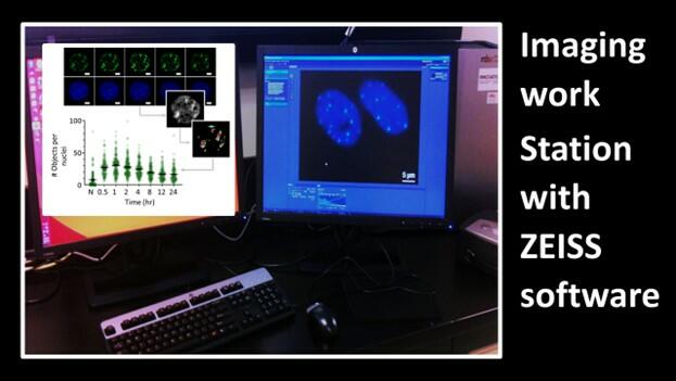 Zeiss Image Processing and Analysis Workstation