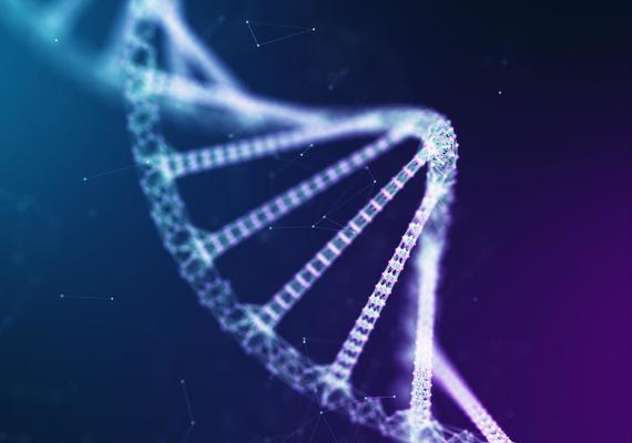 Annual Research Symposium