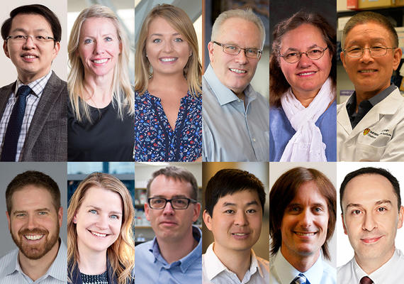 13 CIHR Grants awarded to Charbonneau Members!
