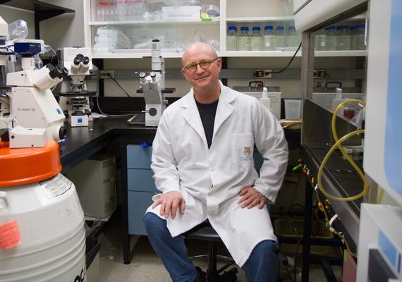 Congratulations to Dr. Karl Riabowol on his new grant!