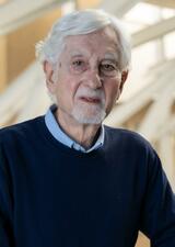 Morley Hollenberg