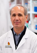 Nizar Bahlis